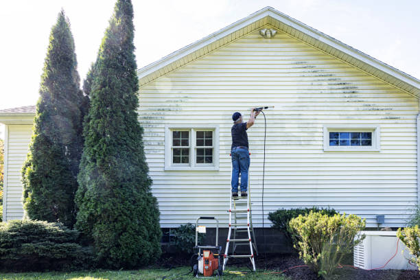 Animal Enclosure Cleaning in Jamestown, OH
